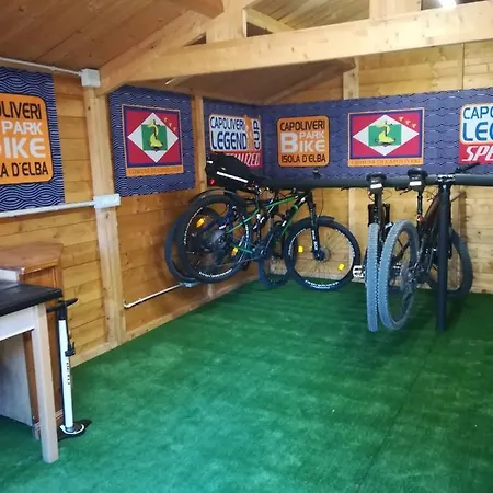 I Palmizi Apartman *