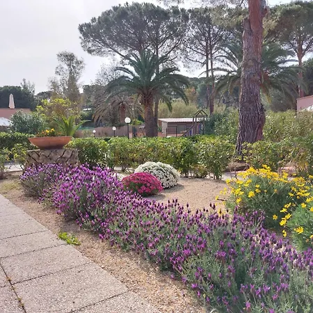 Apartamento Lido I Palmizi *