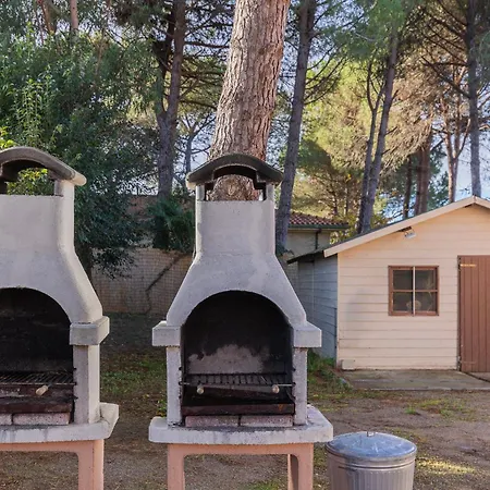 Apartament I Palmizi *